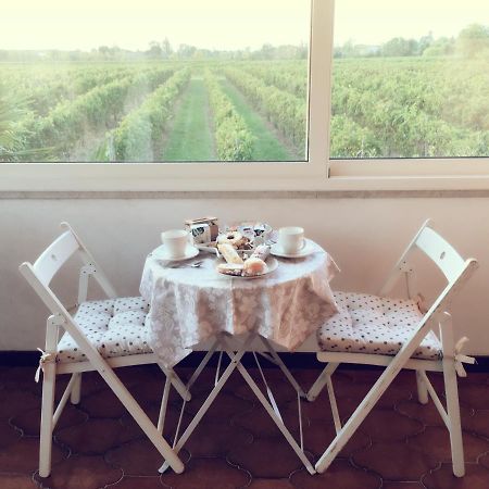 Villa Sofia Pramaggiore Dış mekan fotoğraf