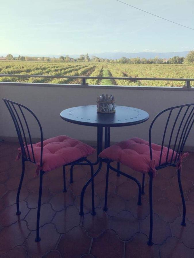 Villa Sofia Pramaggiore Dış mekan fotoğraf