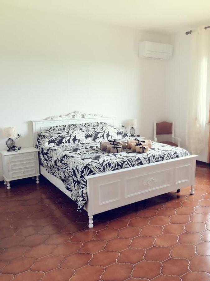 Villa Sofia Pramaggiore Dış mekan fotoğraf